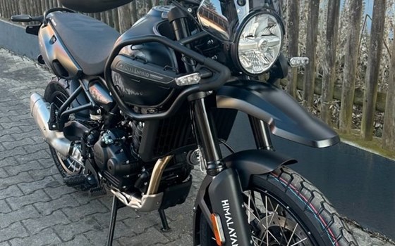 Neufahrzeug Royal Enfield Himalayan 450 - Bild 3