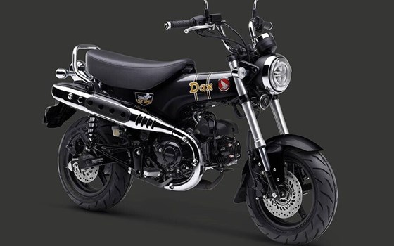 Neufahrzeug Honda Dax 125 - Bild 2