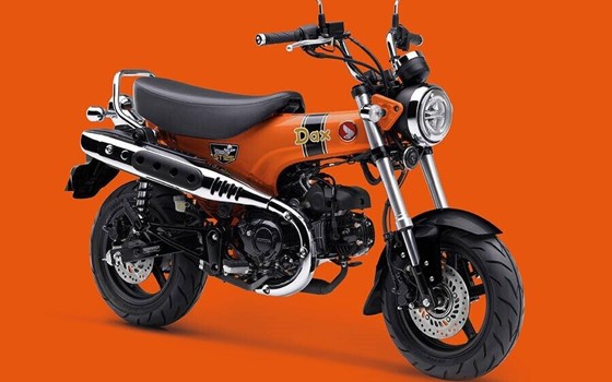 Neufahrzeug Honda Dax 125 - Bild 3