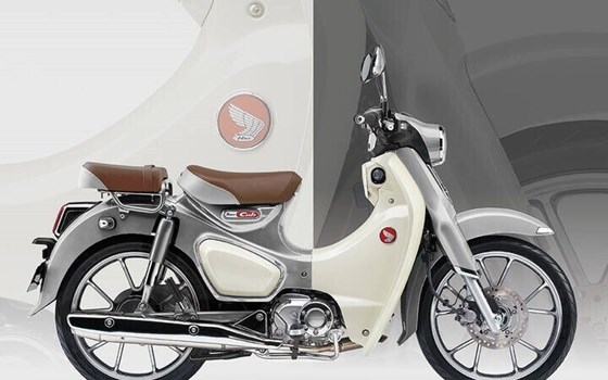 Neufahrzeug Honda Super Cub C 125 - Bild 2