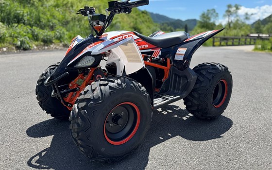 Neufahrzeug Kayo AT 110 - Bild 7