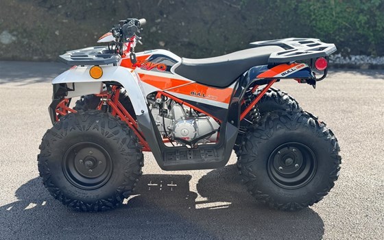 Neufahrzeug Kayo Racing Bull 125 - Bild 5