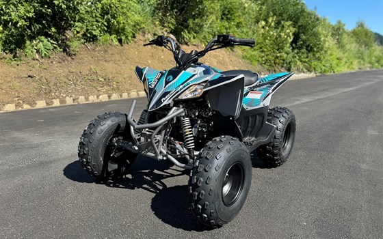 Neufahrzeug Mikilon Pentora ATV 125 - Bild 5