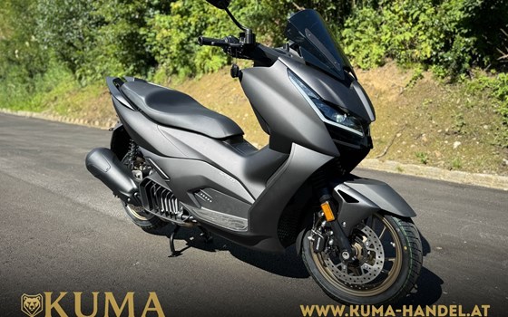 Neufahrzeug Zontes 125 D - Bild 1