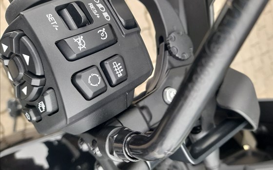 Gebrauchtmotorrad Harley-Davidson Pan America 1250 Special - Bild 4