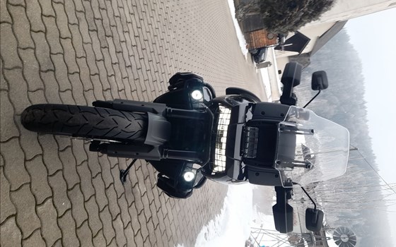 Gebrauchtmotorrad Harley-Davidson Pan America 1250 Special - Bild 9