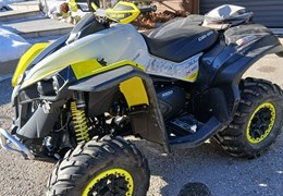 Gebrauchte Can-Am Renegade X mr 1000R