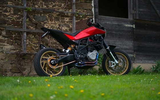 Gebrauchtmotorrad Husqvarna Nuda 900 R - Bild 2