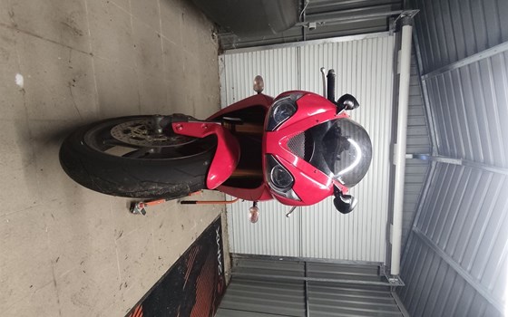 Gebrauchtmotorrad Triumph Daytona 675 - Bild 1