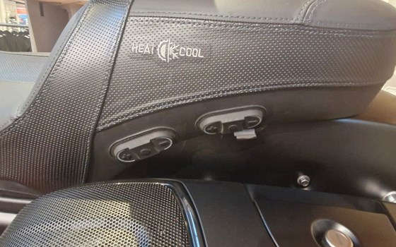 Gebrauchtmotorrad Indian Challenger Dark Horse - Bild 12