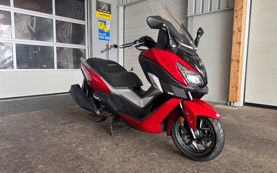 Gebrauchtmotorrad Sym Cruisym 300 - Bild 4