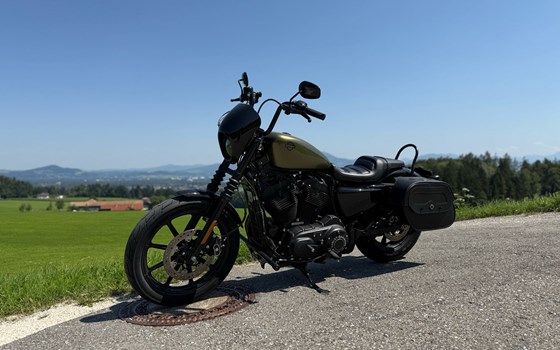 Gebrauchtmotorrad Harley-Davidson Sportster XL 1200NS Iron - Bild 3