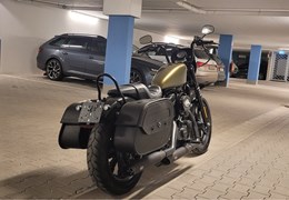 Gebrauchte Harley-Davidson Sportster XL 1200NS Iron