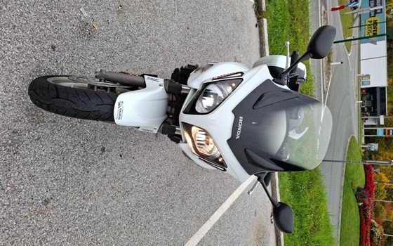 Gebrauchtmotorrad Honda CBF 1000 - Bild 7