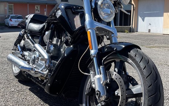 Gebrauchtmotorrad Harley-Davidson V-Rod Muscle VRSCF - Bild 1