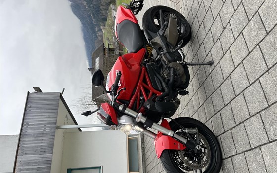 Gebrauchtmotorrad Ducati Monster 821 Stripe - Bild 3