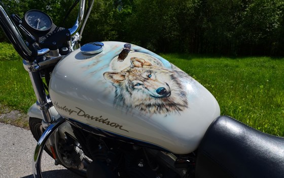 Gebrauchtmotorrad Harley-Davidson Sportster XL 1200 - Bild 3