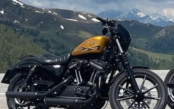 Gebrauchtmotorrad Harley-Davidson Sportster XL 883 N Iron - Bild 1