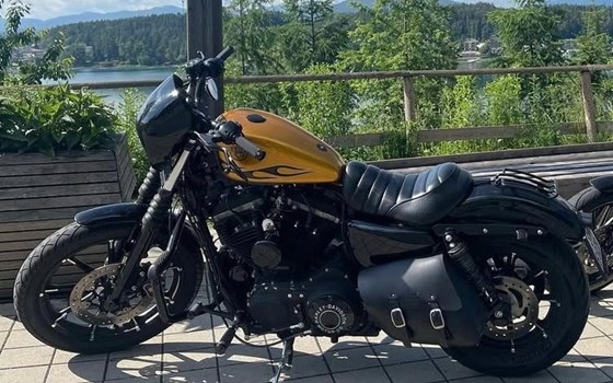 Gebrauchtmotorrad Harley-Davidson Sportster XL 883 N Iron - Bild 3