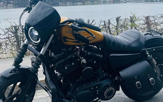 Gebrauchtmotorrad Harley-Davidson Sportster XL 883 N Iron - Bild 4