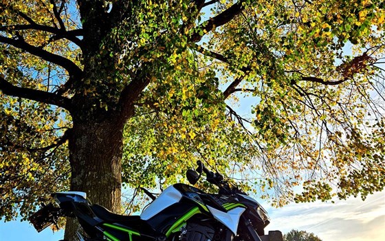 Gebrauchtmotorrad Kawasaki Z900 - Bild 4