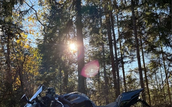 Gebrauchtmotorrad Kawasaki Ninja 650 - Bild 2