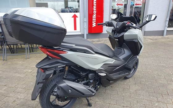 Neufahrzeug Honda Forza 350 - Bild 5