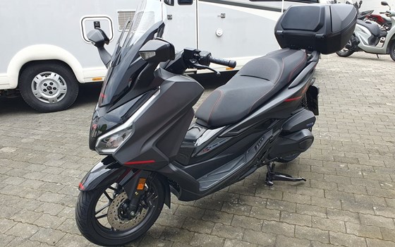 Neufahrzeug Honda Forza 350 Special Edition - Bild 14