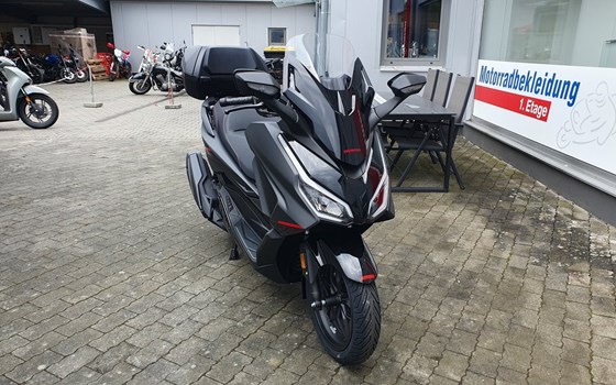 Neufahrzeug Honda Forza 350 Special Edition - Bild 5