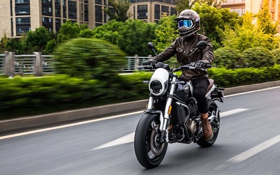 Gebrauchtmotorrad QJ Motor SRV 550 - Bild 2