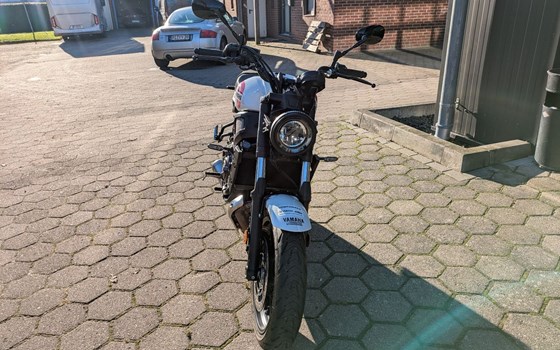 Gebrauchtmotorrad Yamaha XSR700 - Bild 10