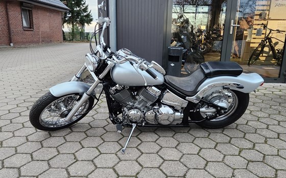 Gebrauchtmotorrad Yamaha XVS 650 Drag Star - Bild 2