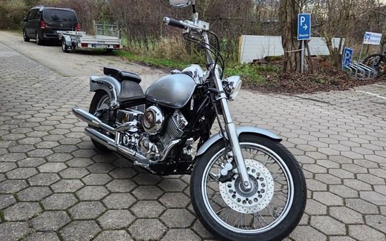 Gebrauchtmotorrad Yamaha XVS 650 Drag Star - Bild 6