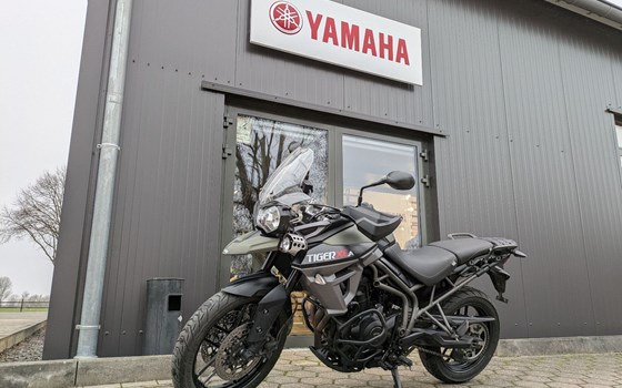 Gebrauchtmotorrad Triumph Tiger 800 XRT - Bild 1