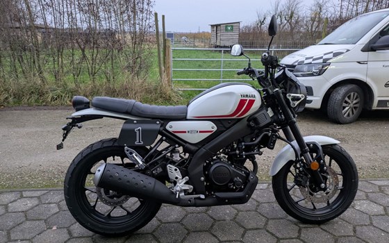 Gebrauchtmotorrad Yamaha XSR125 - Bild 6