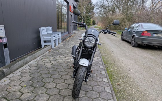 Gebrauchtmotorrad Yamaha XSR125 - Bild 8