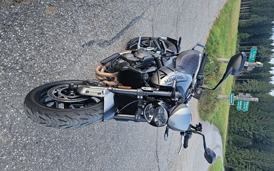 Gebrauchtmotorrad Triumph Trident 660 - Bild 3