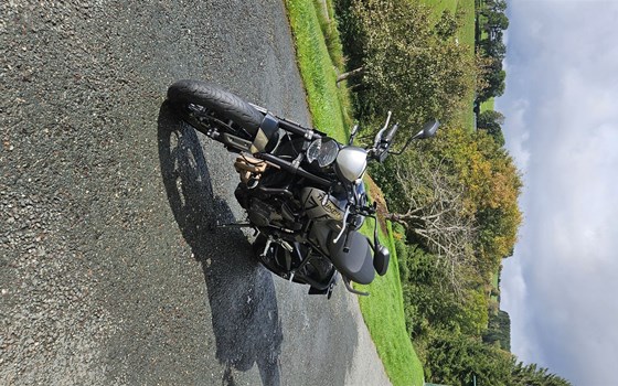 Gebrauchtmotorrad Triumph Trident 660 - Bild 7