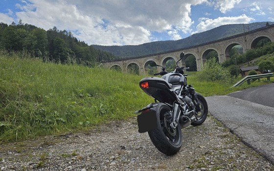 Gebrauchtmotorrad Triumph Trident 660 - Bild 9