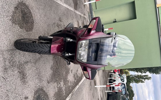 Gebrauchtmotorrad Honda ST 1100 Pan-European - Bild 3