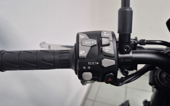 Neufahrzeug Kawasaki Z900 - Bild 9