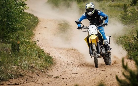 Neufahrzeug Suzuki DR-Z4S - Bild 3