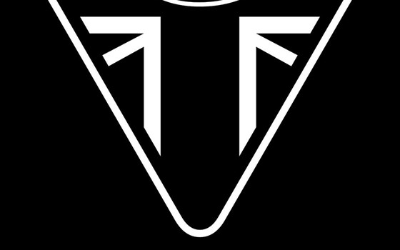 Gebrauchtmotorrad Triumph Trident 660 - Bild 11