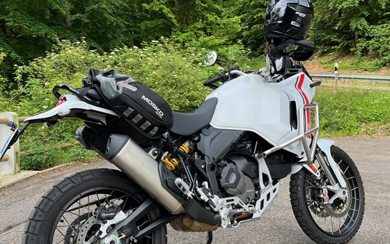 Gebrauchtmotorrad Ducati DesertX - Bild 2