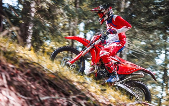 Neufahrzeug Beta RR X-PRO 2T 300 - Bild 9