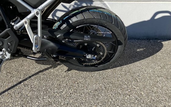 Neufahrzeug Triumph Tiger 900 Desert Edition - Bild 5