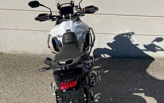 Neufahrzeug Triumph Tiger 900 Alpine Edition - Bild 6