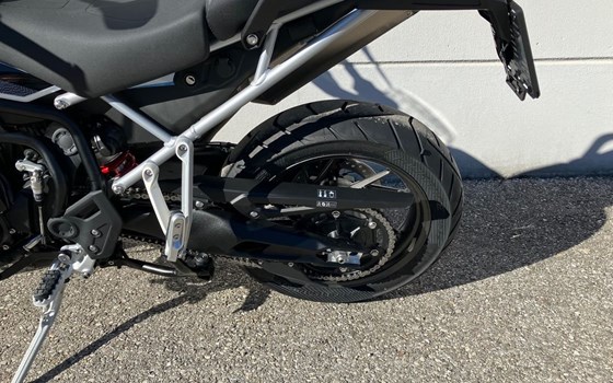 Neufahrzeug Triumph Tiger 900 Alpine Edition - Bild 8