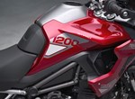 Offer Triumph Tiger 1200 GT PRO