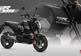 Neumotorrad Honda MSX125 Grom